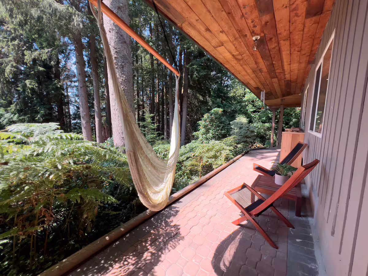 The patio and hammock in summer light